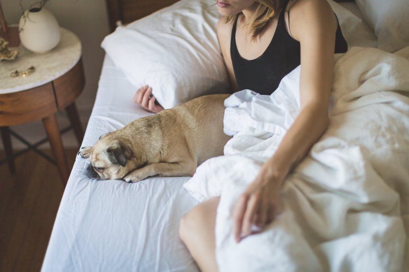 Frau liegt mit Hund auf Bett